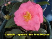 rev john g draytonIMG_1589